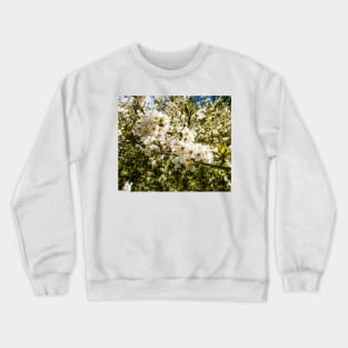 Spring motif of flowering trees Crewneck Sweatshirt